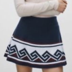 Talula Blue Mini Skirt from Aritzia Size Medium
